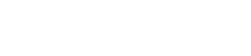 Lanza International Co.Ltd.Logo